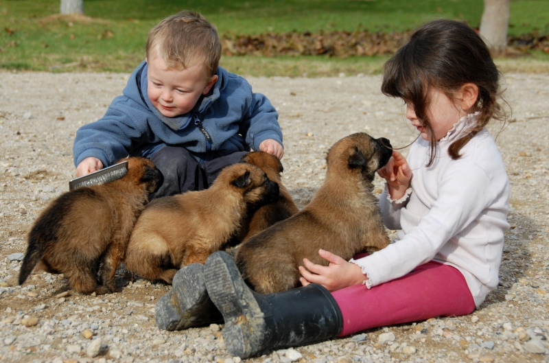children-and-puppies